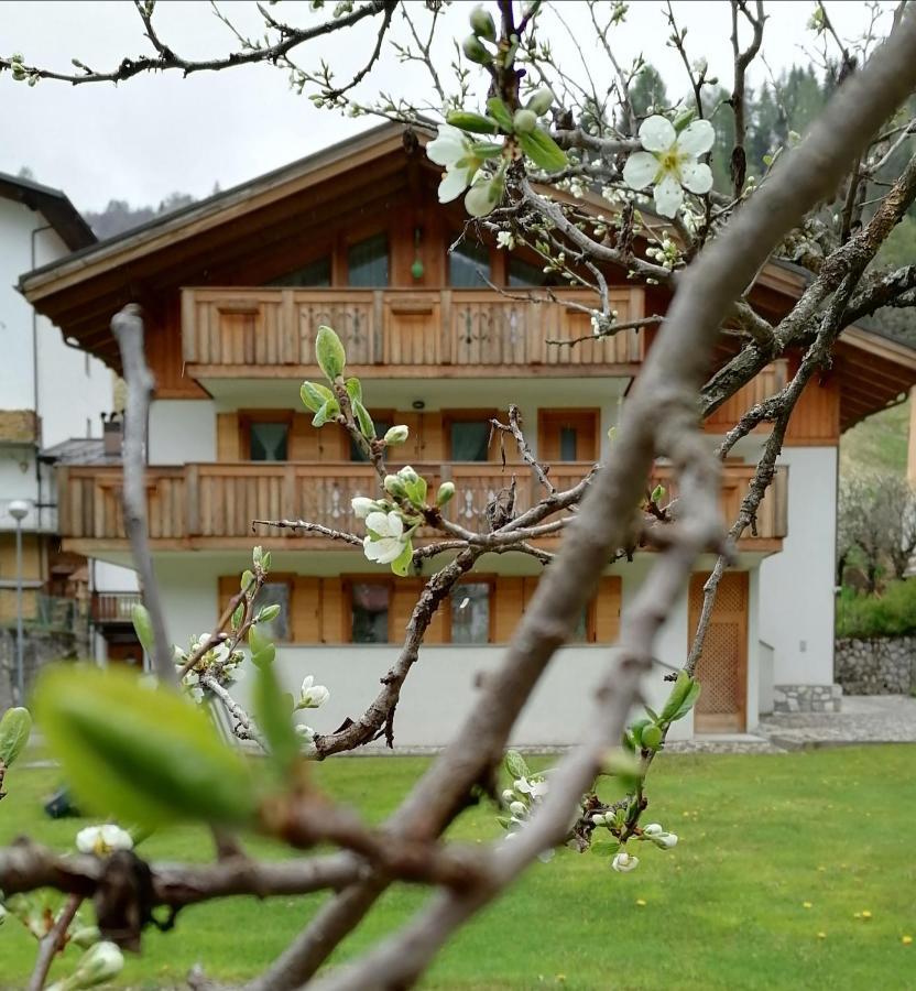 B&B Il Tulipano San Pietro di Cadore Exterior foto