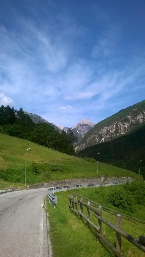 B&B Il Tulipano San Pietro di Cadore Exterior foto